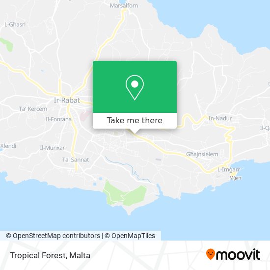 Tropical Forest map