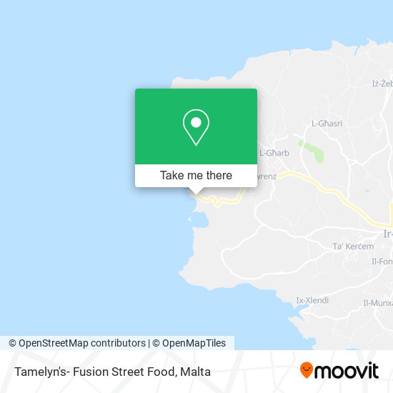 Tamelyn's- Fusion Street Food map
