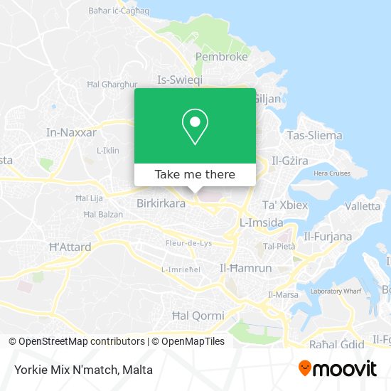 Yorkie Mix N'match map