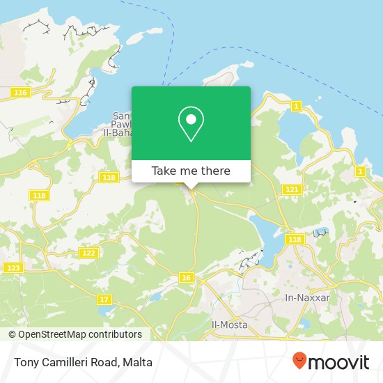 Tony Camilleri Road map