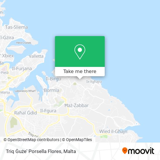Triq Ġuże' Porsella Flores map