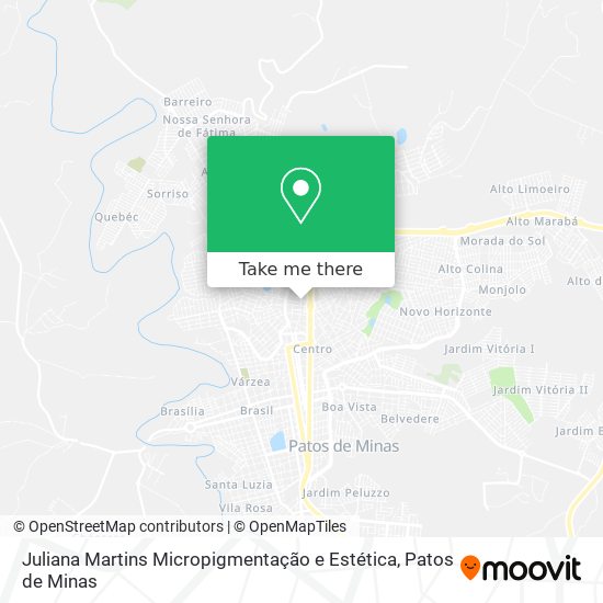 Juliana Martins Micropigmentação e Estética map