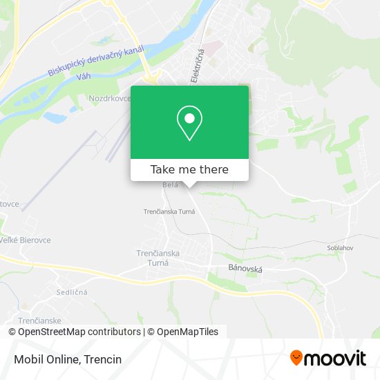 Mobil Online map