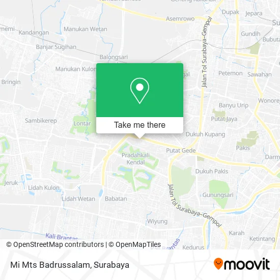 Mi Mts Badrussalam map