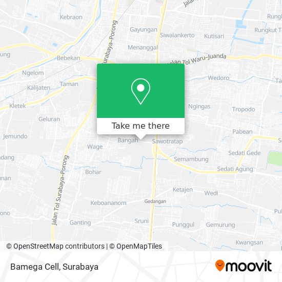 Bamega Cell map