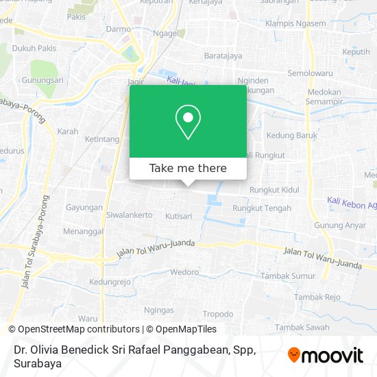 Dr. Olivia Benedick Sri Rafael Panggabean, Spp map