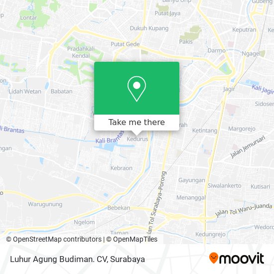 Luhur Agung Budiman. CV map