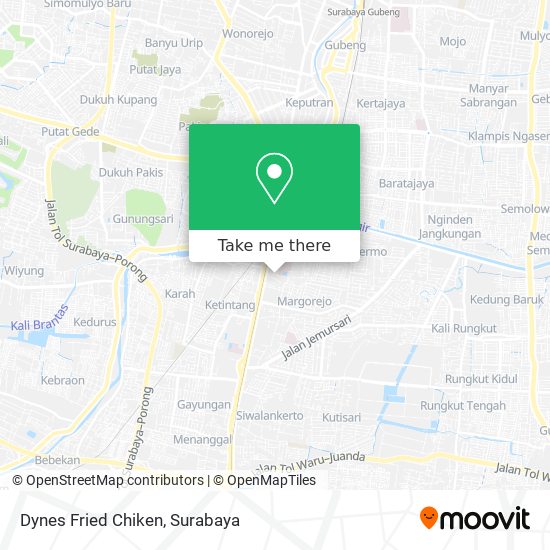 Dynes Fried Chiken map