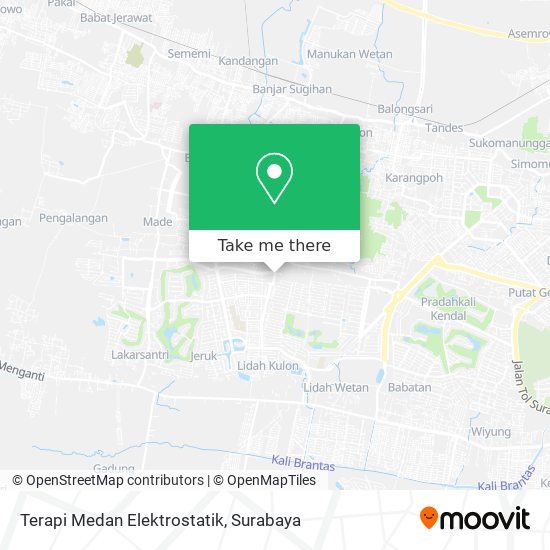 Terapi Medan Elektrostatik map