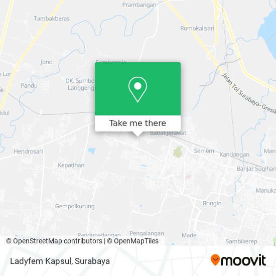 Ladyfem Kapsul map