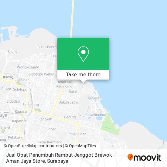 Jual Obat Penumbuh Rambut Jenggot Brewok - Aman Jaya Store map