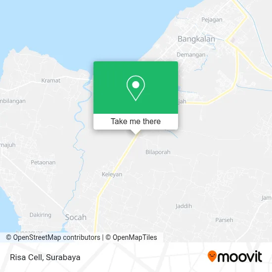 Risa Cell map