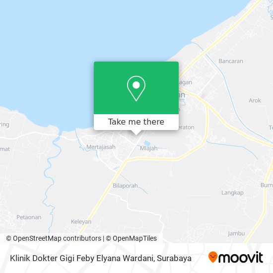 Klinik Dokter Gigi Feby Elyana Wardani map