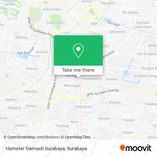 Hamster Gemash Surabaya map