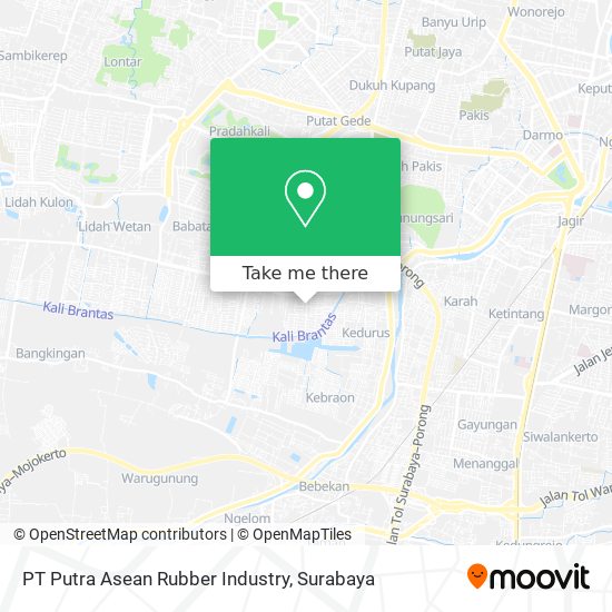 PT Putra Asean Rubber Industry map