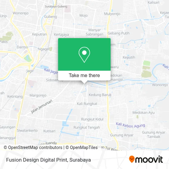 Fusion Design Digital Print map