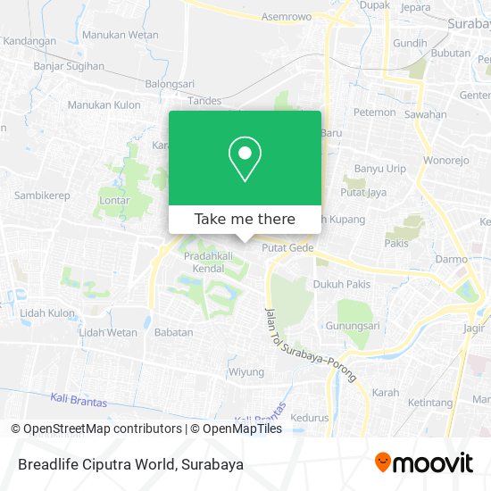 Breadlife Ciputra World map