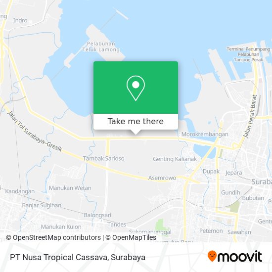 PT Nusa Tropical Cassava map