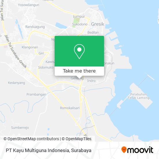 PT Kayu Multiguna Indonesia map