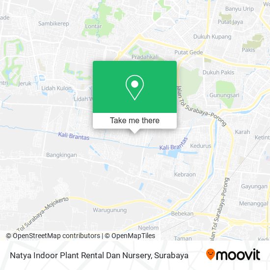Natya Indoor Plant Rental Dan Nursery map