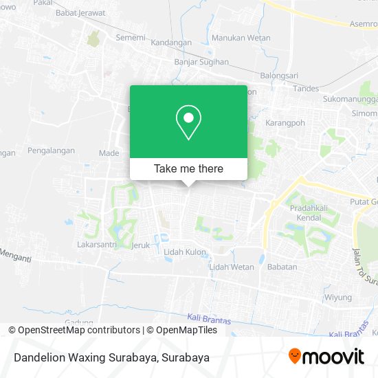 Dandelion Waxing Surabaya map