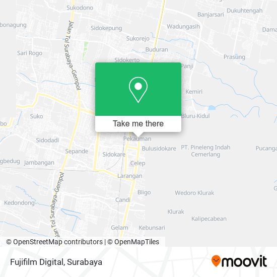 Fujifilm Digital map