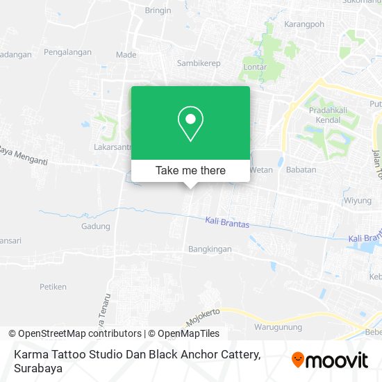 Karma Tattoo Studio Dan Black Anchor Cattery map