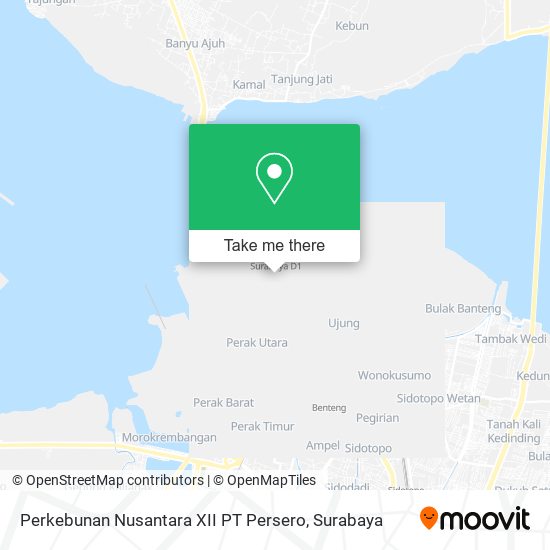 Perkebunan Nusantara XII PT Persero map