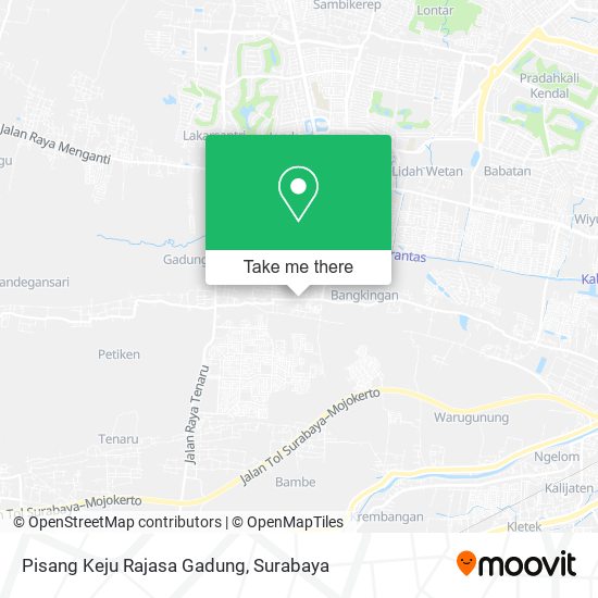Pisang Keju Rajasa Gadung map