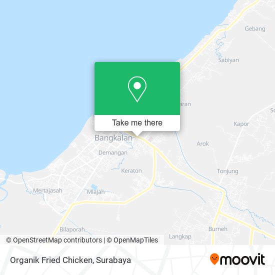 Organik Fried Chicken map