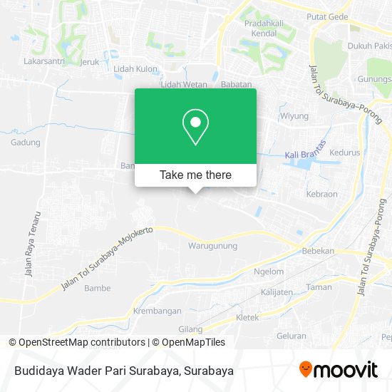 Budidaya Wader Pari Surabaya map