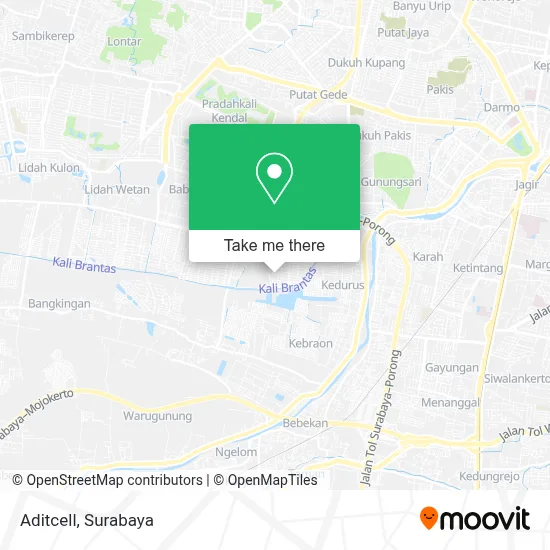 Aditcell map