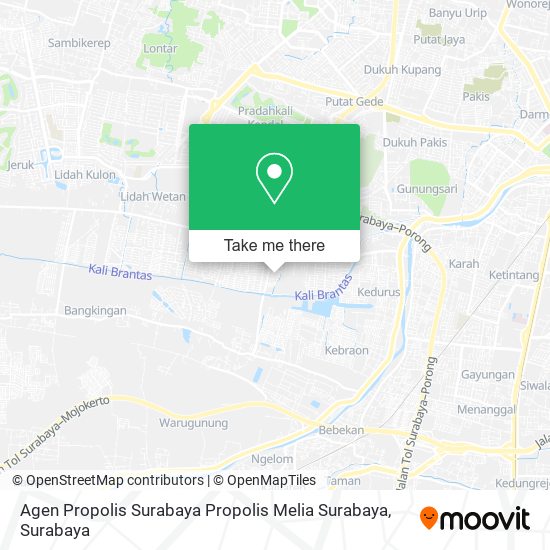 Agen Propolis Surabaya Propolis Melia Surabaya map