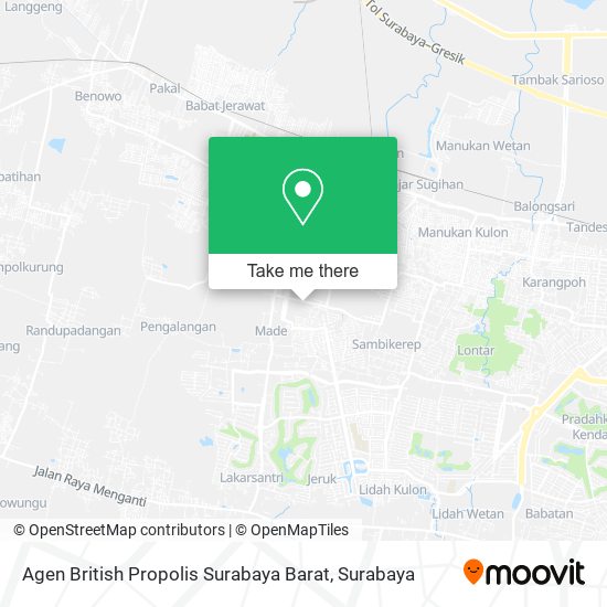 Agen British Propolis Surabaya Barat map