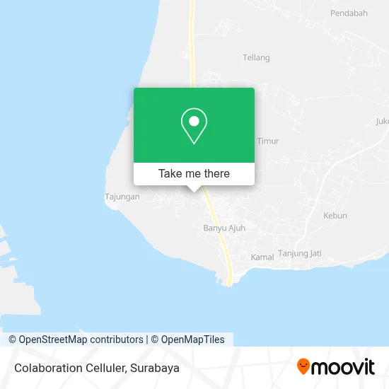 Colaboration Celluler map