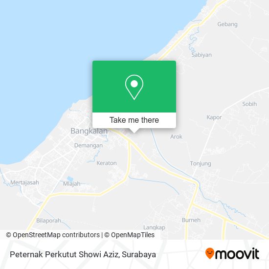 Peternak Perkutut Showi Aziz map