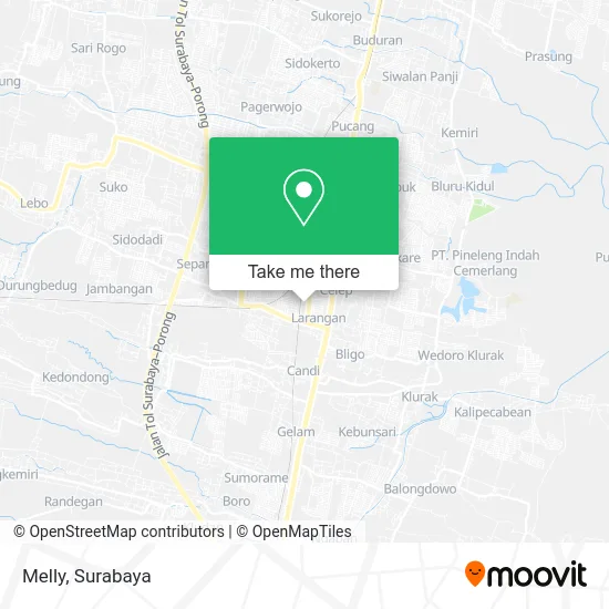 Melly map