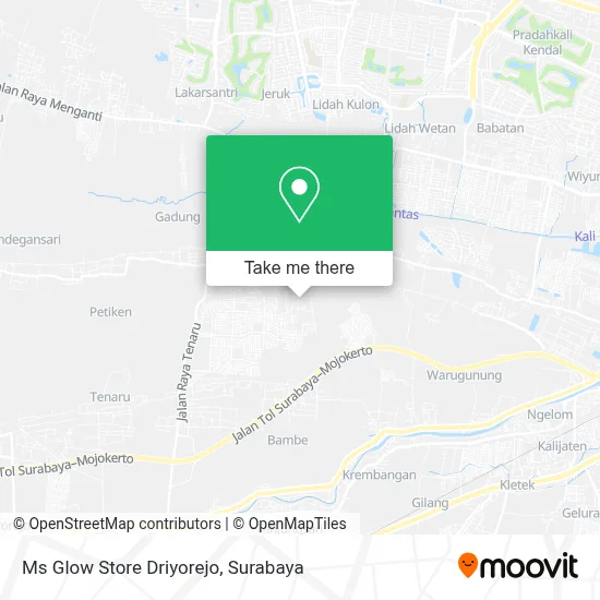 Ms Glow Store Driyorejo map