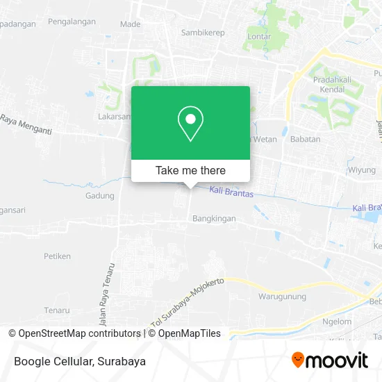 Boogle Cellular map