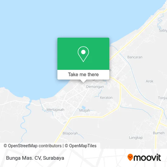 Bunga Mas. CV map