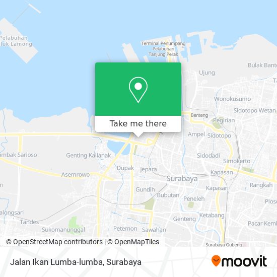 Jalan Ikan Lumba-lumba map