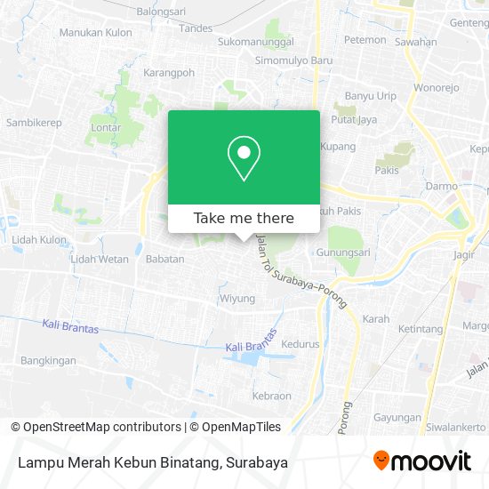 Lampu Merah Kebun Binatang map