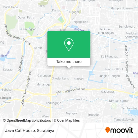 Java Cat House map