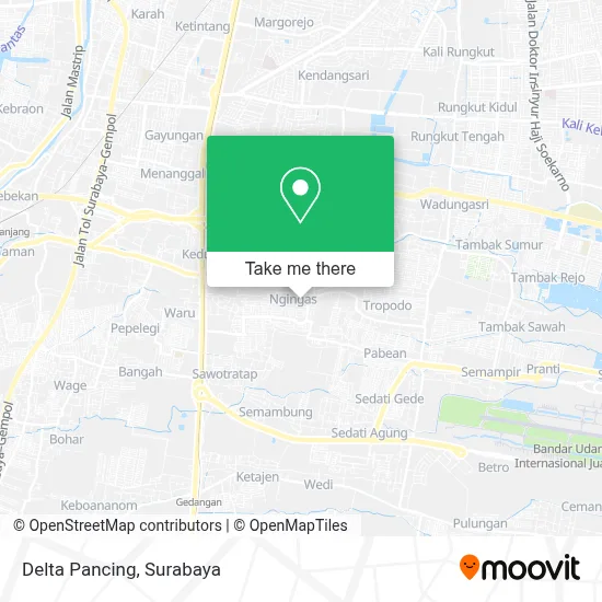 Delta Pancing map