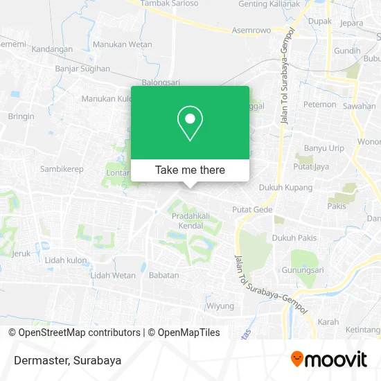 Dermaster map