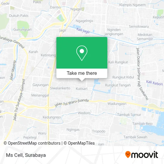 Ms Cell map