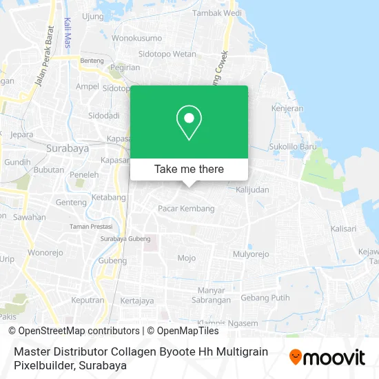 Master Distributor Collagen Byoote Hh Multigrain Pixelbuilder map