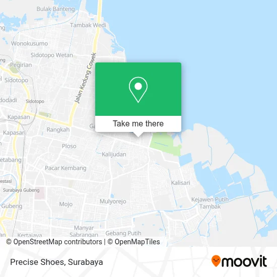 Precise Shoes map