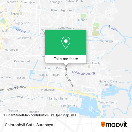 Chlorophyll Cafe map