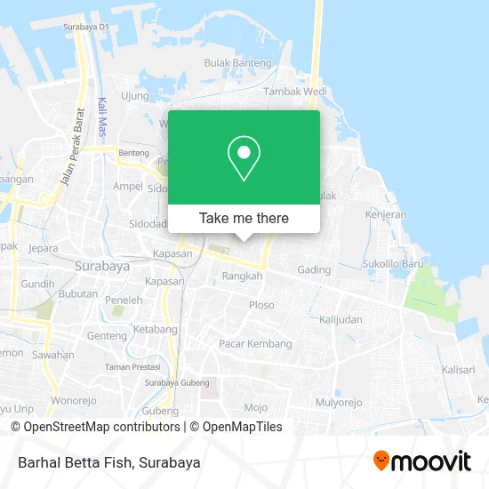 Barhal Betta Fish map
